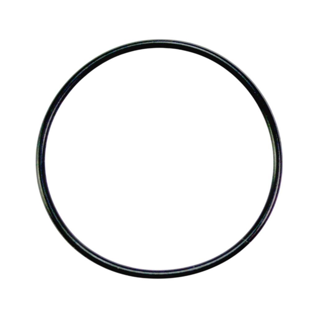 WAGNER O-ring