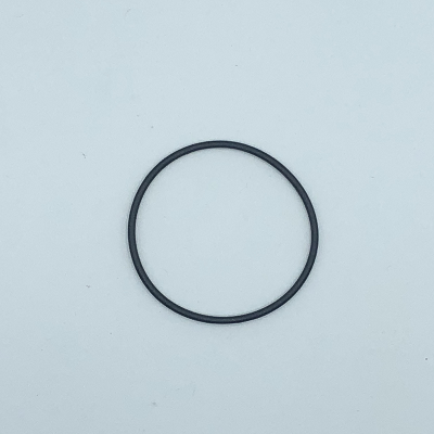 TITAN/WAGNER O-RING