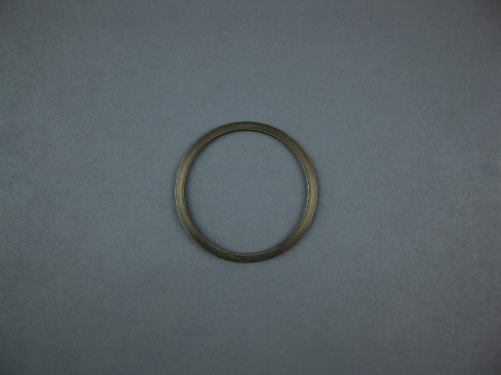 TITAN/WAGNER Retaining Ring
