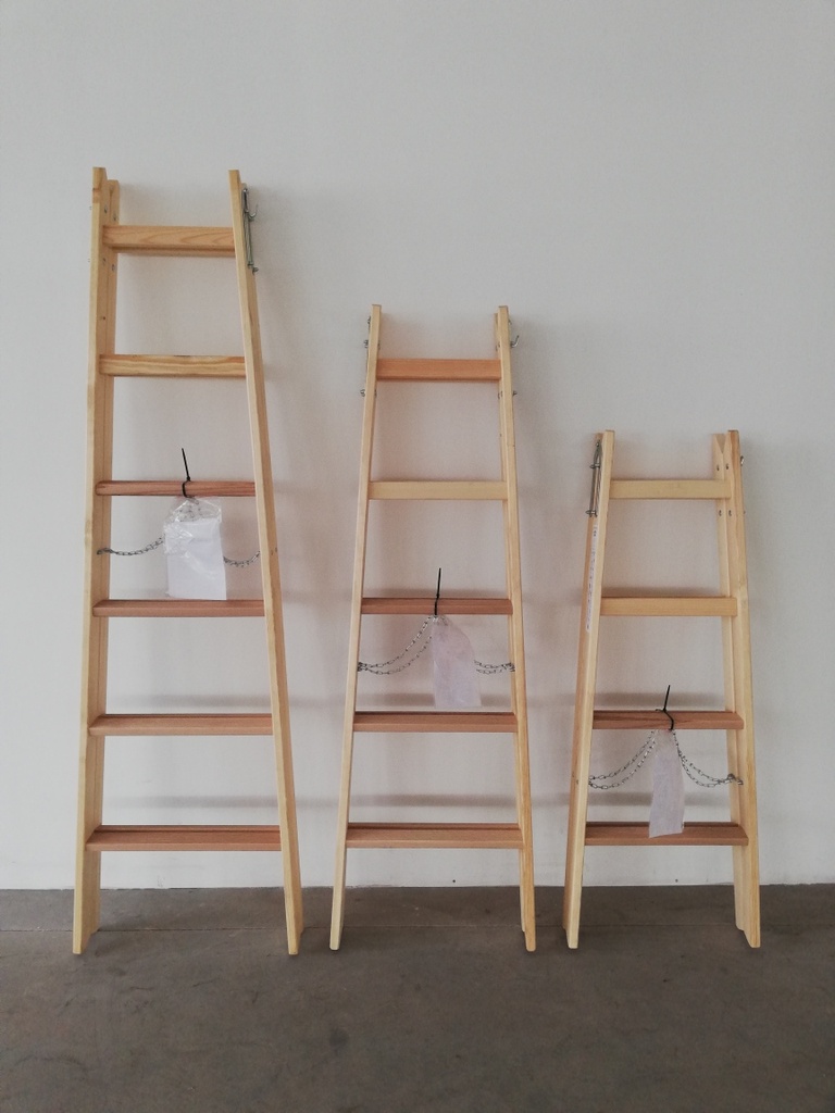LEONHARD LADDERS Ladder