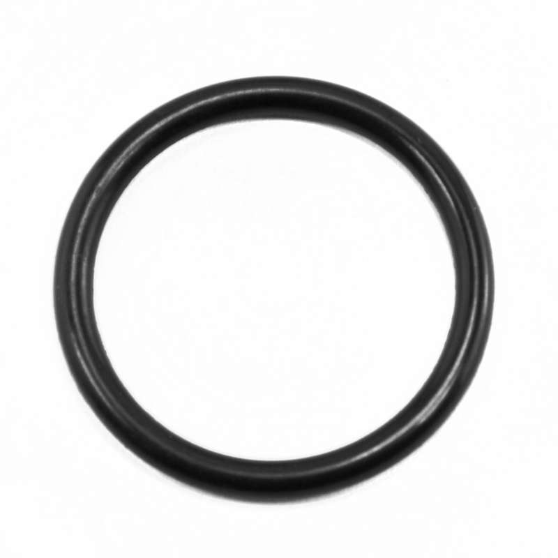 TITAN/WAGNER O-Ring Synthetic Rubber