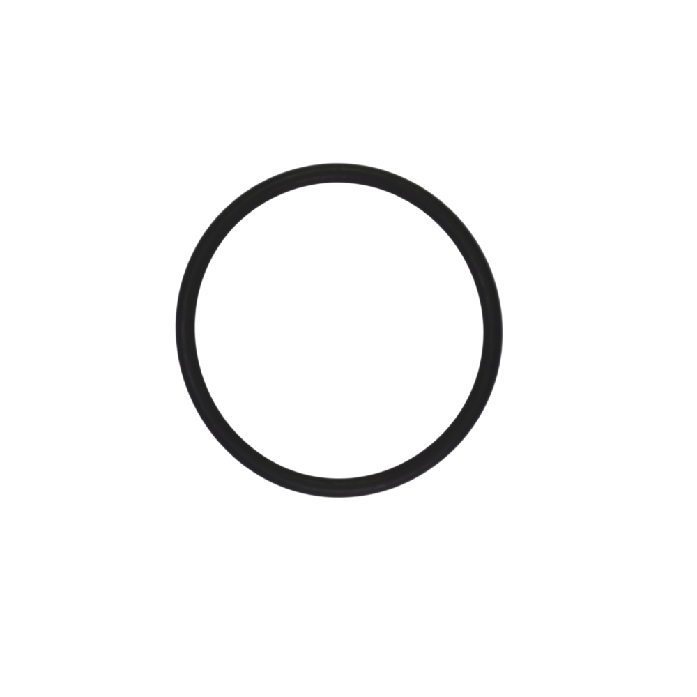WAGNER O-Ring