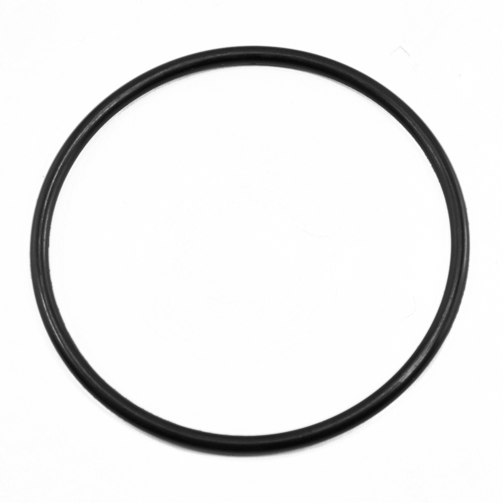 TITAN/WAGNER O-RING
